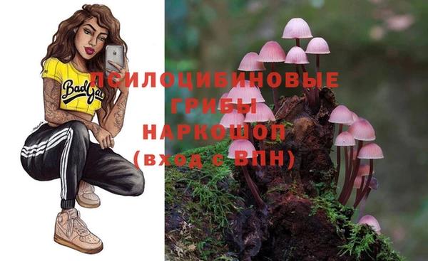 МДПВ Арсеньев