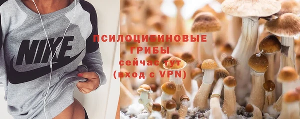 хмурый Армянск
